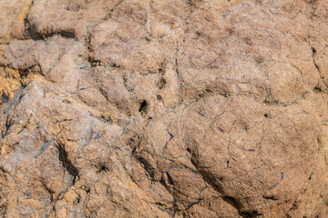Greenstone / Metamorphic rock. Weathered. Dark-green to red, altered basaltic volcanic rocks. altered to clay minerals.Coyote Point Beach, San Mateo, California. San Francisco Peninsula / Bay