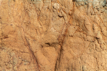  Chert / sedimentary rock. commonly with thin interlayers of reddish-brown shale, graywacke and greenstone. Coyote Point Beach, San Mateo, California. San Francisco Peninsula. San Francisco Bay

