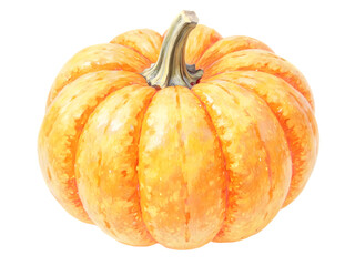Obraz premium pumpkin isolated on white background