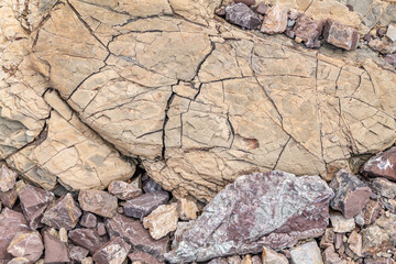 Greenstone / Metamorphic rock. Weathered. Dark-green to red, altered basaltic volcanic rocks. altered to clay minerals.Coyote Point Beach, San Mateo, California. San Francisco Peninsula / Bay. Chert 
