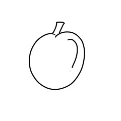 vector illustration of an apple