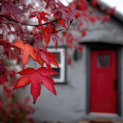 Vibrant autumn leaves against a gray house with a red door