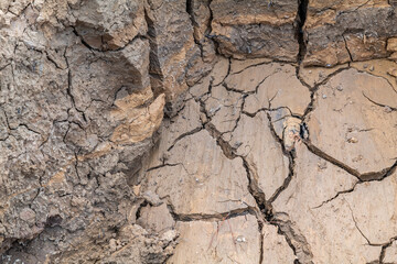 Young landslide deposits ( Holocene ),  Coyote Point Beach, San Mateo, California. San Francisco / Bay