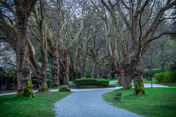 path in the park