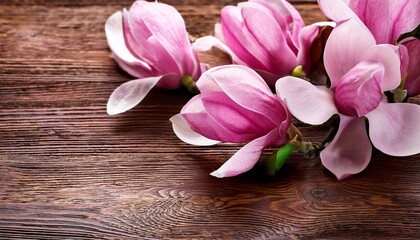 pink magnolia flowers on wooden surface