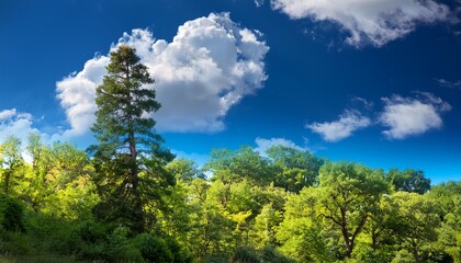 Obraz premium a painting of a forest with a tree in the foreground and a blue sky with clouds
