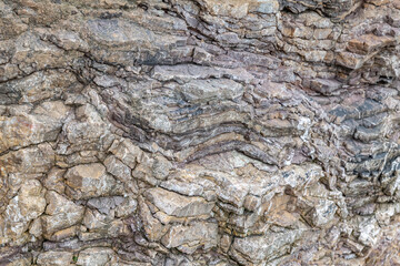 Chert / sedimentary rock. commonly with thin interlayers of reddish-brown shale, graywacke and greenstone. Coyote Point, San Mateo, California. San Francisco / Bay