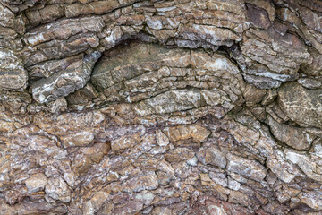 Chert / sedimentary rock. commonly with thin interlayers of reddish-brown shale, graywacke and greenstone. Coyote Point, San Mateo, California. San Francisco / Bay