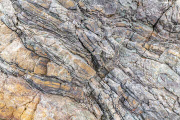Chert / sedimentary rock. commonly with thin interlayers of reddish-brown shale, graywacke and greenstone. Coyote Point, San Mateo, California. San Francisco / Bay