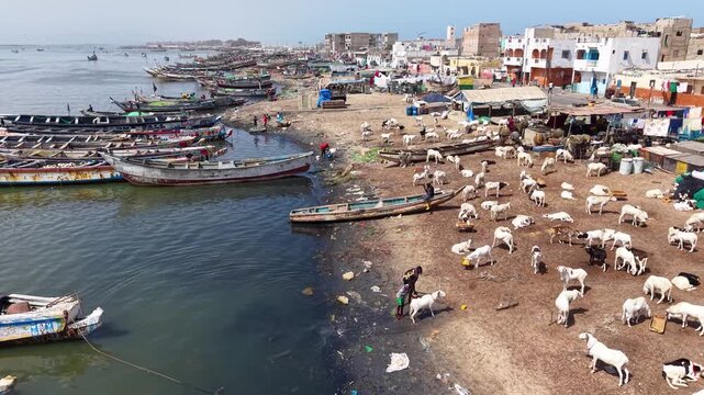 SENEGAL - 7.16.2025 - Very good aerial footage moving along a waterfront goat market on Senegal's Island of Saint-Louis.