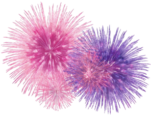 Abstract floral explosion