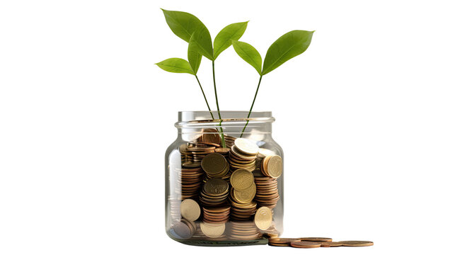 Glass jar filled with coins and green plant sprouting symbolizing savings investment and financial growth isolated on white background