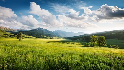 Obraz premium nature landscape with greenery and open field during daytime