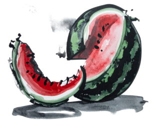 Hand-drawn watermelon illustration. Charm. Hand-drawn style. Brush-painted ingredients. Seeds. Fruit. Moisture. Imported. Potassium, Magnesium. Summer. Red and green.