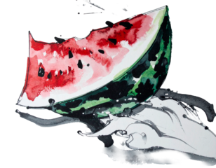 Hand-drawn watermelon illustration. Charm. Hand-drawn style. Brush-painted ingredients. Seeds. Fruit. Moisture. Imported. Potassium, Magnesium. Summer. Red and green.