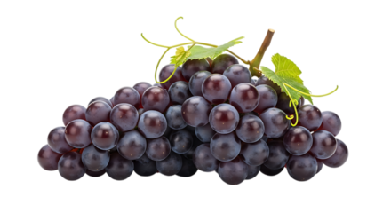 Fresh ripe dark purple grapes with green leaves on black background