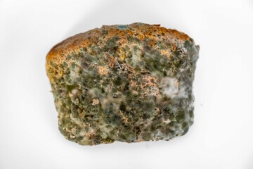 spoiled, old moldy food on white round plate in top view