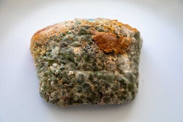 spoiled, old moldy food on white round plate in top view