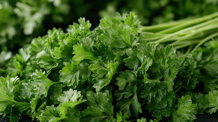 Fresh curly parsley with vibrant green leaves, perfect for culinary use and garnishing