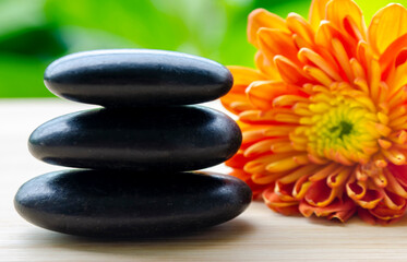 Harmonious arrangement of chrysanthemum flower and stacked stones vivid view with customizable...