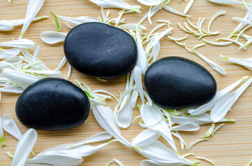 Top view of black stones with leafy background in serene composition with customizable space for...
