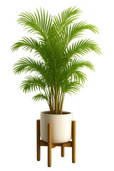 Obraz premium A lush green indoor plant in a modern ceramic pot, adding a refreshing touch to any living space or workspace with vibrant foliage.
