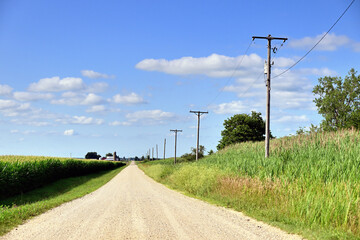 An unpaved, country road reaches for the horizon bordered on both sides of the roadway by mature...