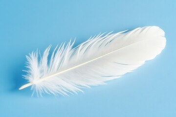 Obraz premium A soft white feather lays on a pastel blue background. It can be used for designs about dreams or softness.