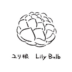 手描きのゆり根2_名称入_白黒