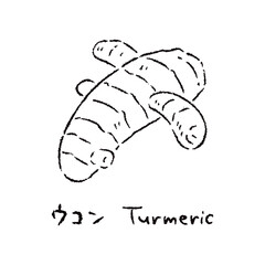 手描きのウコン2_名称入_白黒
