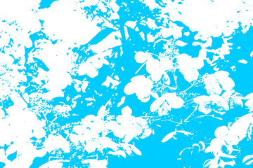 Illustration of a blue and white floral background. Drawing or illustration for card with flowers.