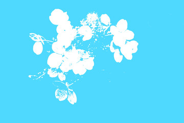 Illustration of a blue and white floral background. Drawing or illustration for card with flowers.