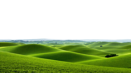 Obraz premium Surreal and minimalist landscape of vibrant, undulating green hills stretching across a serene countryside under a clean white sky