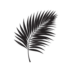 Single Black Palm Leaf on White Background Minimalist Tropical Design