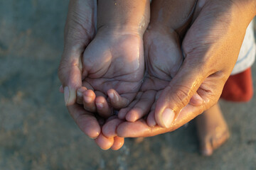 Close-up of an adult holding a child’s cupped hands together with water, symbolizing care, love,...