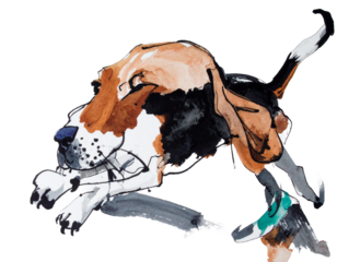 Hand-drawn Beagle illustration. Charm. Hand-drawn style. Brush-drawn material. Pet care. Family. Beloved dog. Cool. Security.