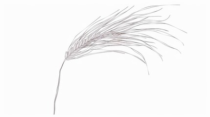 Minimalist Abstract Wheat Art: Linear Outlines & Grains on White Background &ndash; Editable Design