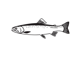 Salmon Fish Vector Graphic for Seafood Design.