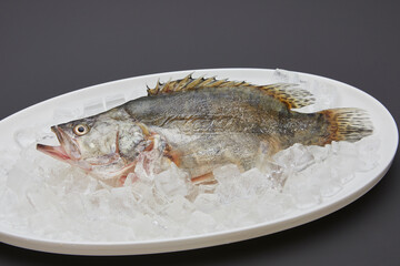 fish on a plate