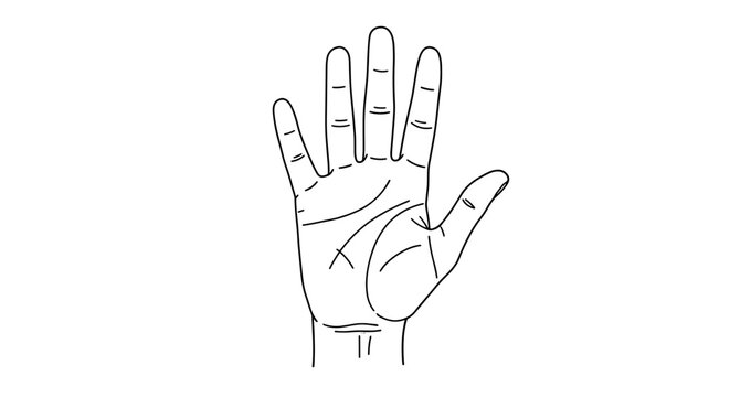 Hand Line Sketch: Detailed sketch of an open palm revealing lines, indicative of palmistry and fortune-telling. This simple graphic, executed with careful linework, hints at the secrets held within.
