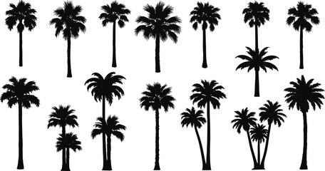 Collection of palm tree silhouettes, tropical beach coconut trees, summer nature design, exotic island landscape, black vector palm illustration artwork
