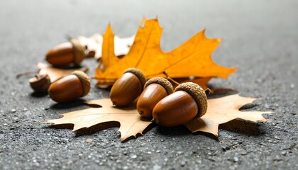 Autumn acorns and leaves on dark surface
