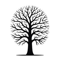 Striking black silhouette of a bare tree with intricate branching pattern