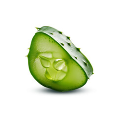 aloevera transparent on white background,aloe vera, png