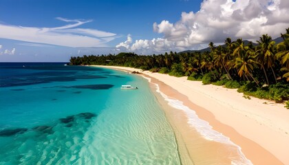 Tropical Paradise A Serene Beach with Turquoise Waters and Lush Green Palms Under a Blue Sky