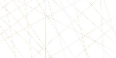 Abstract colorful lines on transparent background. random chaotic lines abstract geometric patterns of modern design. geometric design created using light colorful digital net web line technology.