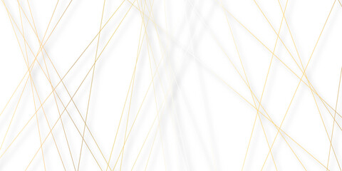 Abstract colorful lines on transparent background. random chaotic lines abstract geometric patterns of modern design. geometric design created using light colorful digital net web line technology.
