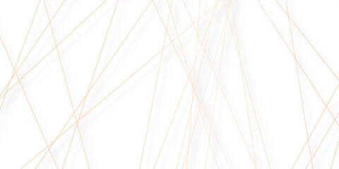 Abstract colorful lines on transparent background. random chaotic lines abstract geometric patterns of modern design. geometric design created using light colorful digital net web line technology.