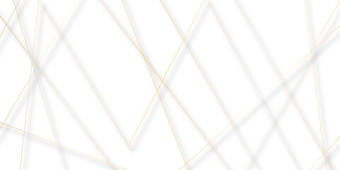 Abstract colorful lines on transparent background. random chaotic lines abstract geometric patterns of modern design. geometric design created using light colorful digital net web line technology.
