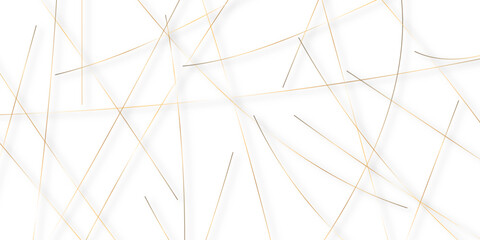 Abstract colorful lines on transparent background. random chaotic lines abstract geometric patterns of modern design. geometric design created using light colorful digital net web line technology.